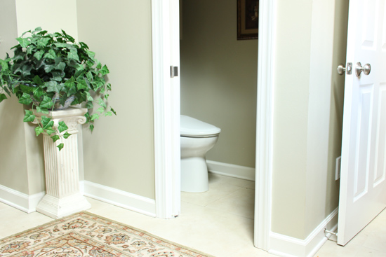 Why I Want a Separate Toilet Room | Checking In With Chels