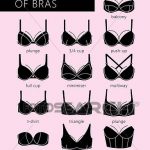 All types of black bras Clipart | k49046435 | Fotosear