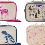 Best Insulated Lunch Bags for Kids (Updated 201