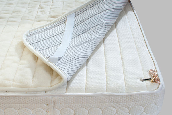 The Best Bed Bug Mattress Covers to Keep You Protected | Termin