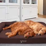Up To 68% Off on Sofa-Style Orthopedic Pet Bed | Groupon Goo