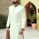 Indian Traditional Embroidery Pakistani Wedding Wear Designer .