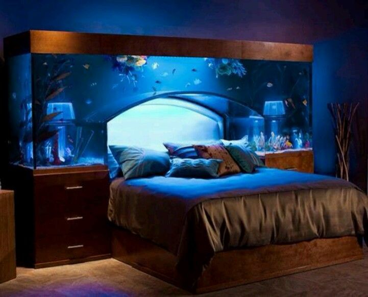 Water bed with fish (With images) | Awesome bedrooms, Dream .