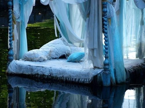 New definition of water bed (With images) | Blue decor, Home .