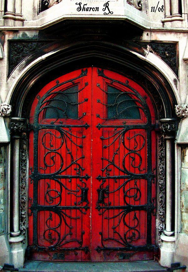 Iron Door Designs: Infusing Strength and Style into Your Home Entrance