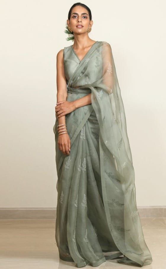 Chic Organza Sarees for Special Occasions