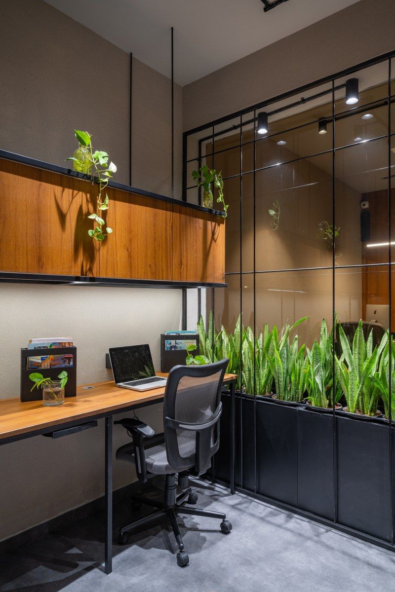 Functional Small Office Designs for Productive Spaces