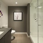 Most Popular Bathroom Colors for 2017 - Picone Home Painting .