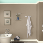 Bathroom wall color, Sea Lilly by Valspar. (With images .