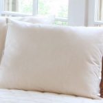 Organic Cotton Pillow Cov