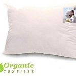Amazon.com: 100% Organic Cotton Pillow, Medium Filled (Queen Size .