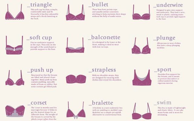 Top 35 Types Of Bra Every Women Must Know: Ultimate Bra Guide .