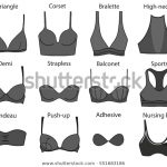 Bra Icons Set Different Types Bras Stock Vector (Royalty Free .