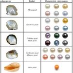 Different types of pearl producing species (first two columns .