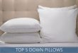 The 5 Highest Rated Down Pillows Available in 2020 - Reviews & Ratin