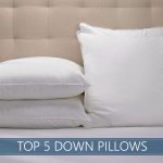 The 5 Highest Rated Down Pillows Available in 2020 - Reviews & Ratin
