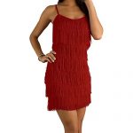 Red Fringe Dress: Amazon.c