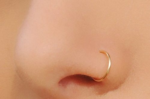 Nose Ring, Gold Nose Hoop - Moonli Designs