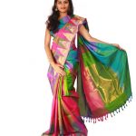 Which type of blouse matches a multicolor saree? - Quo