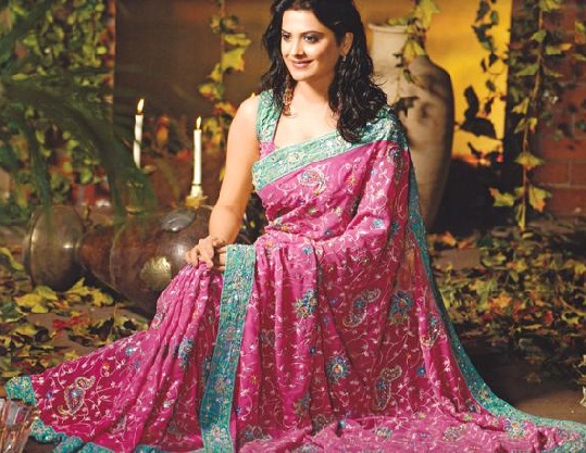 North Indian Sarees - These Sarees Come With Eye-Catching Desig