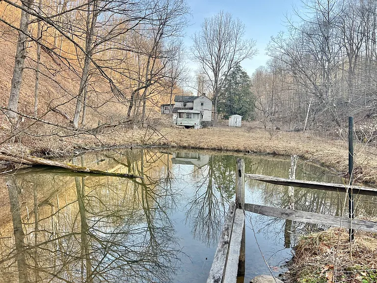 Exclusive Marion County Land Auction – Perfect for Recreation & Development