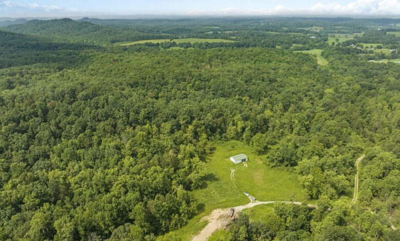100-Acre Forested Property with Metal Building in Hope, Kentucky