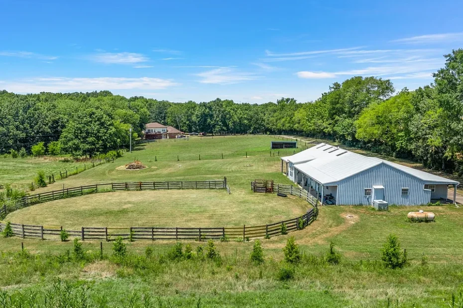 A Dream for Equestrians & a Developer’s Haven