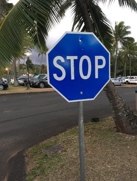 Decoding the Significance of a Blue Stop Sign