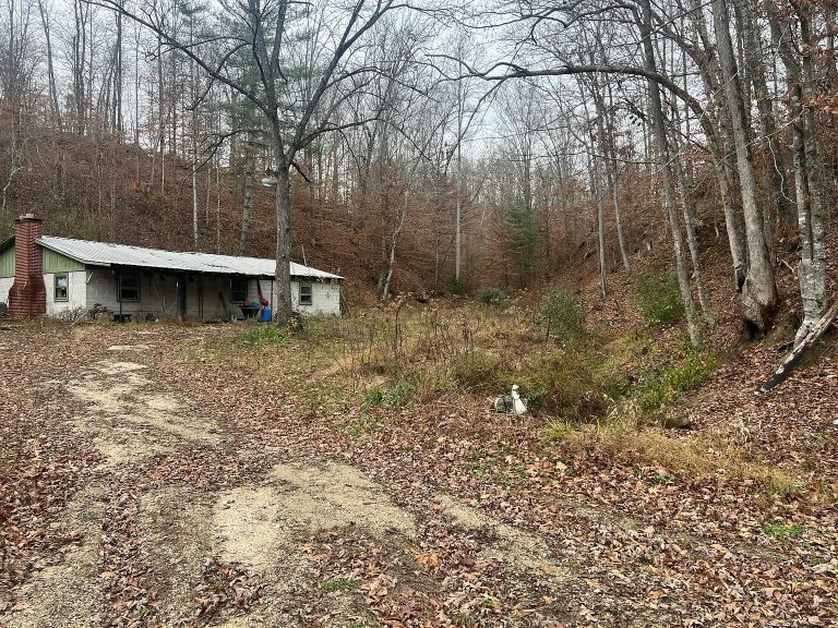 Expansive 193-Acre Property in West Liberty, KY – Privacy & Potential