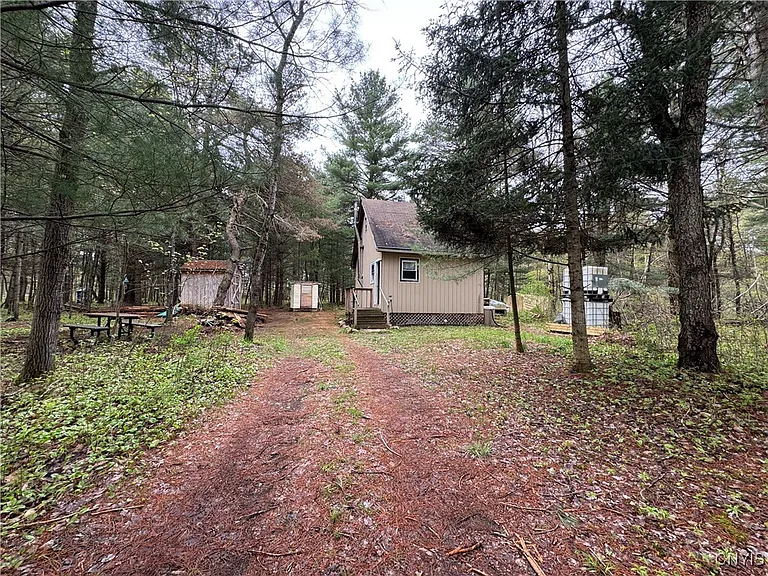 The Tug Hill Cabin Escape