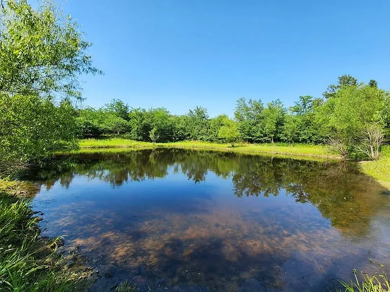 10-Acre Off-Grid Property