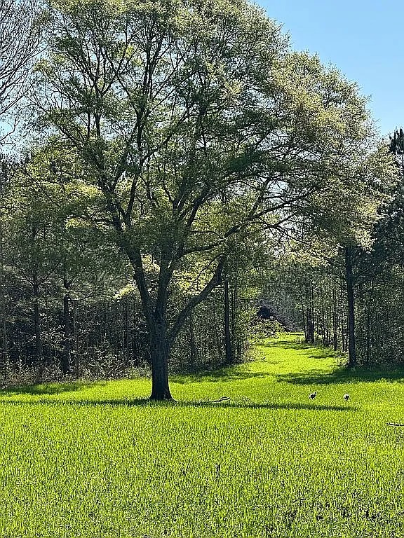 Large 141-Acre Tract in Concord, GA – Now Available