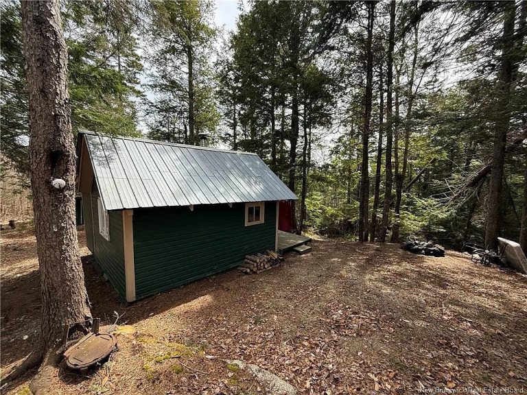 Off-Grid 1-Bedroom Cabin on 71 Acres in Canterbury, New Brunswick