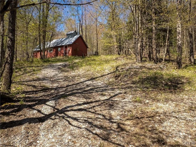 Hunting Cabin & Maple Syrup Setup on 62 Acres – Harrisville, New York