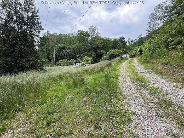 38 Acres with 3-Bedroom Mobile Home – Rural Living in Branchland, WV