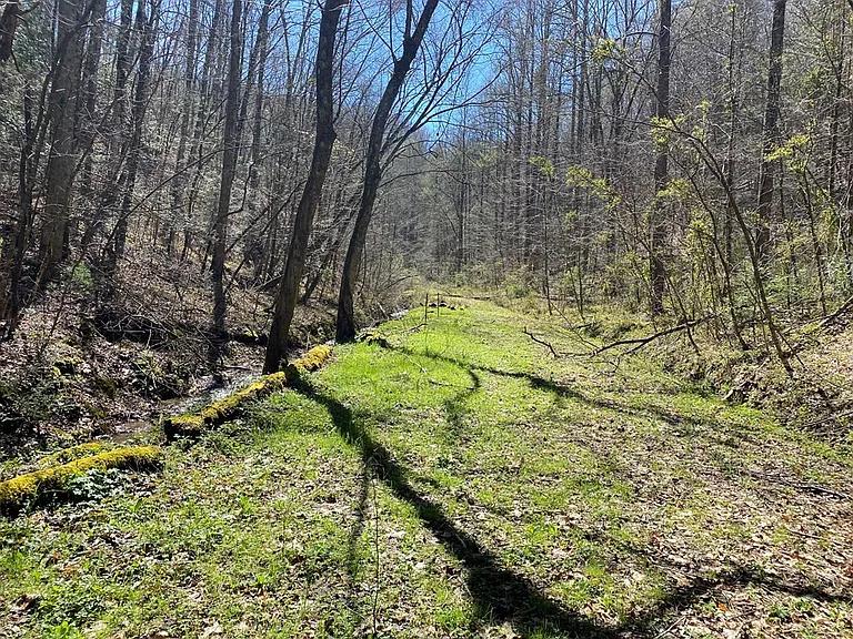 Rare Find in a Peaceful Rural Setting