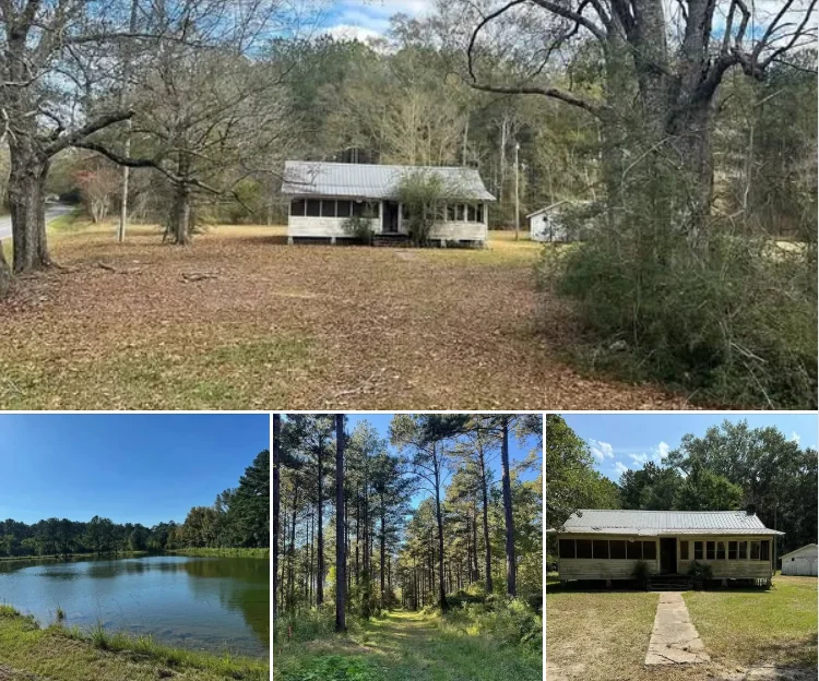 Scenic 21.58-Acre Property with Ponds in Osyka, Mississippi