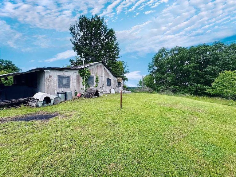 Charming 2-Bedroom Cabin on 45 Acres with Free Gas – Spencer, WV
