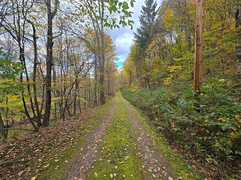 Private Hunting Paradise