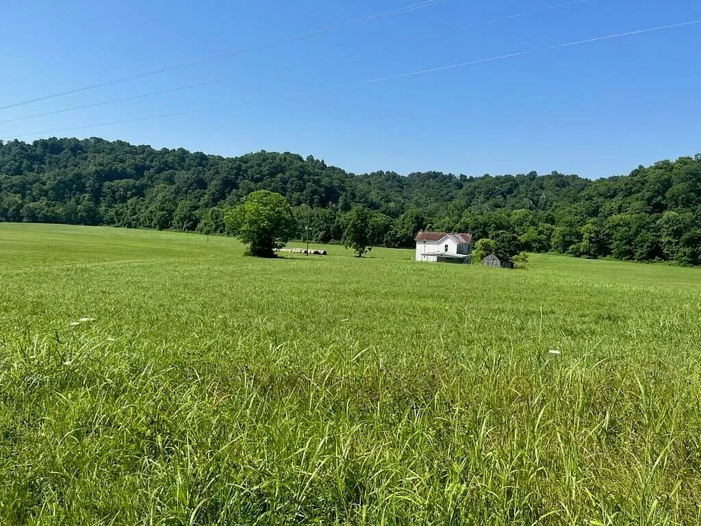 133 Acres with Creek and Wooded Land for Sale in Burkesville, Kentucky