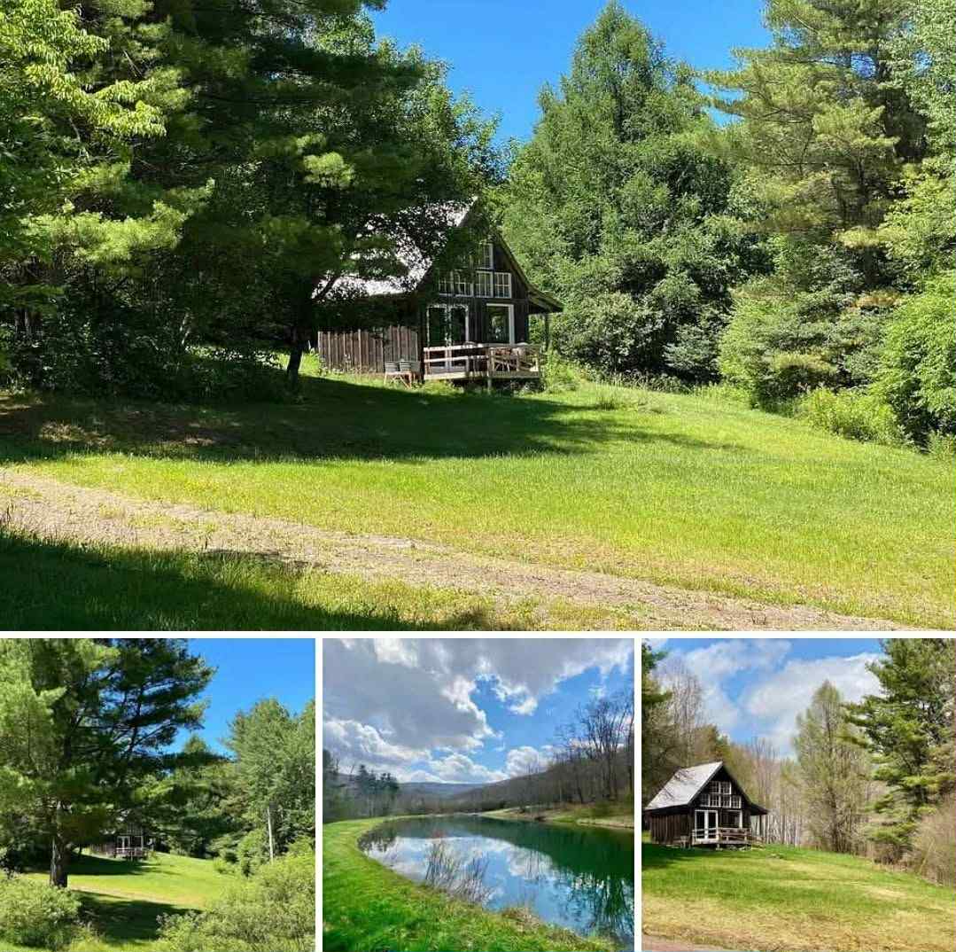Serene Retreat Featuring Tiny House, Campsites, Pond & Mountain Vistas