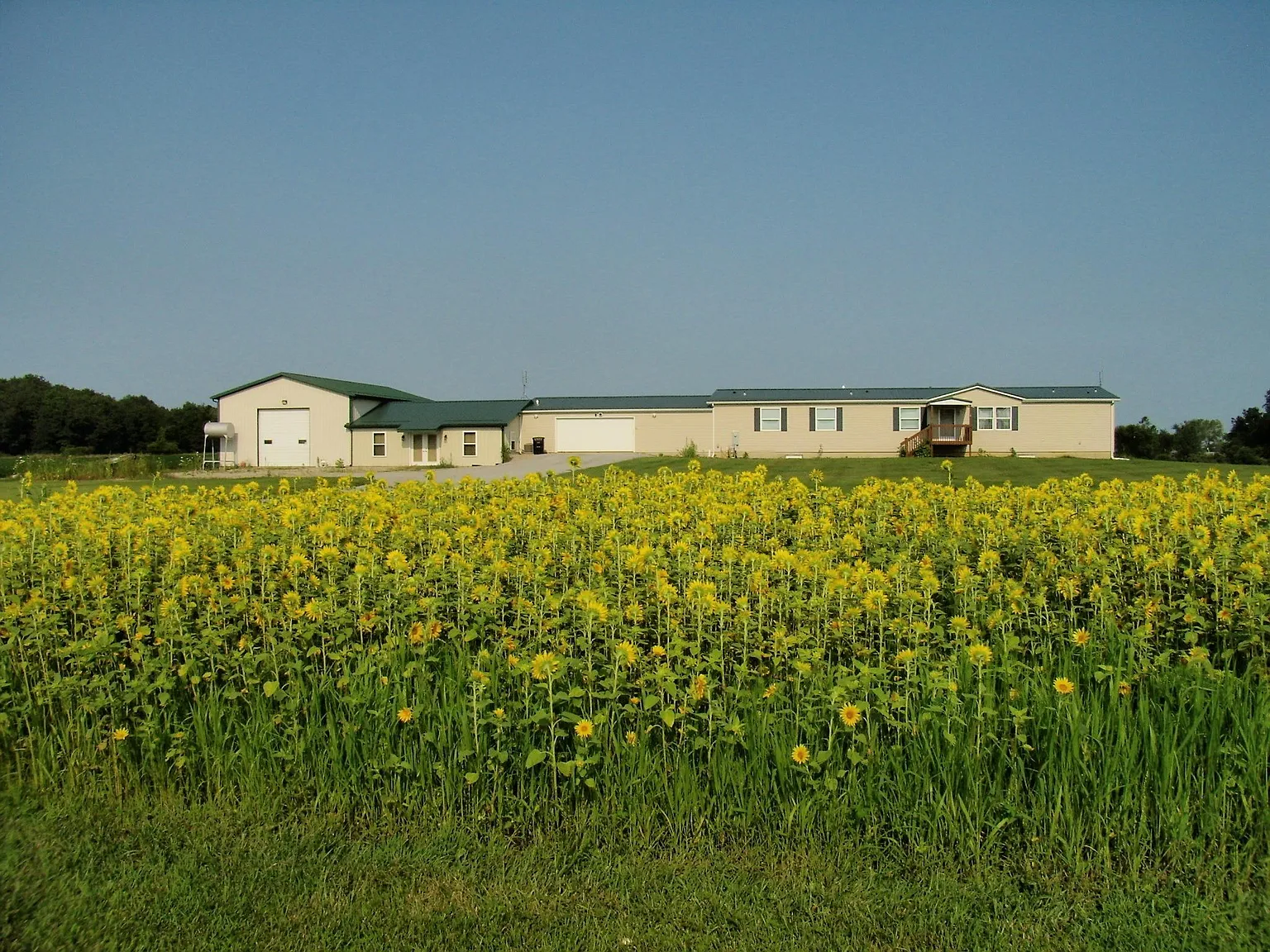Spacious Country Estate with Privacy, Nature, and Endless Possibilities