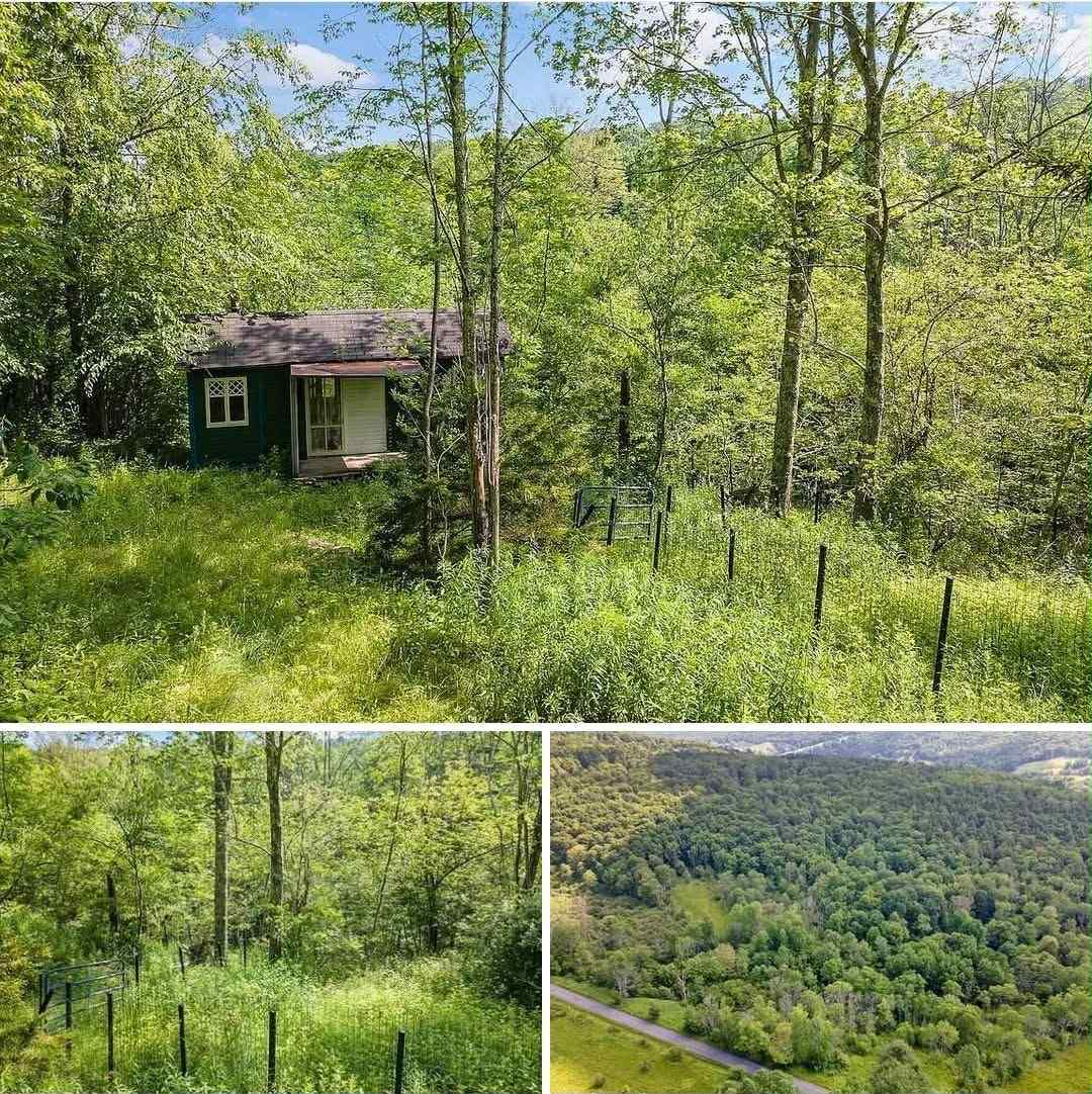 Peaceful 1.5-Acre Escape with Cozy Tiny Home – A Nature Lover’s Paradise