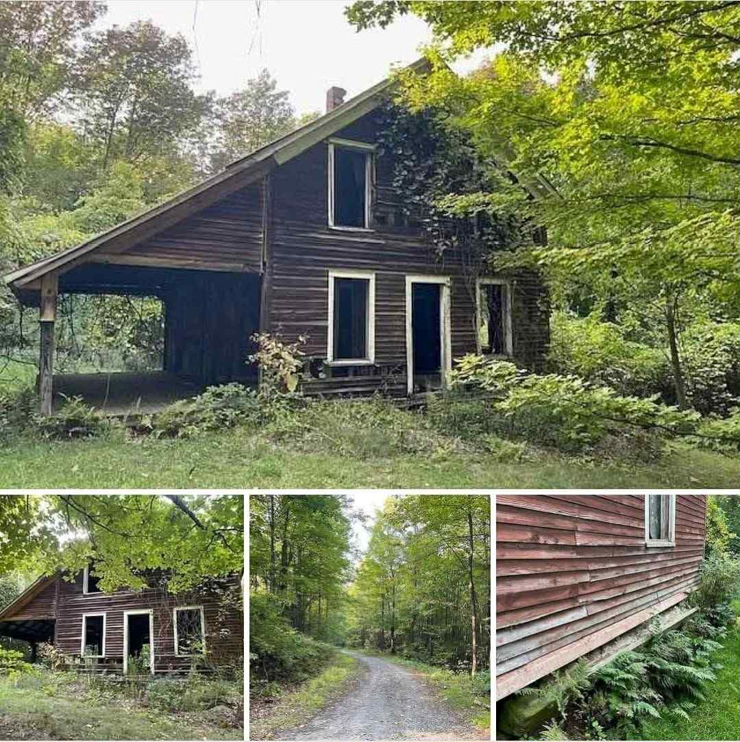 Unearthing a Secret in the Adirondacks