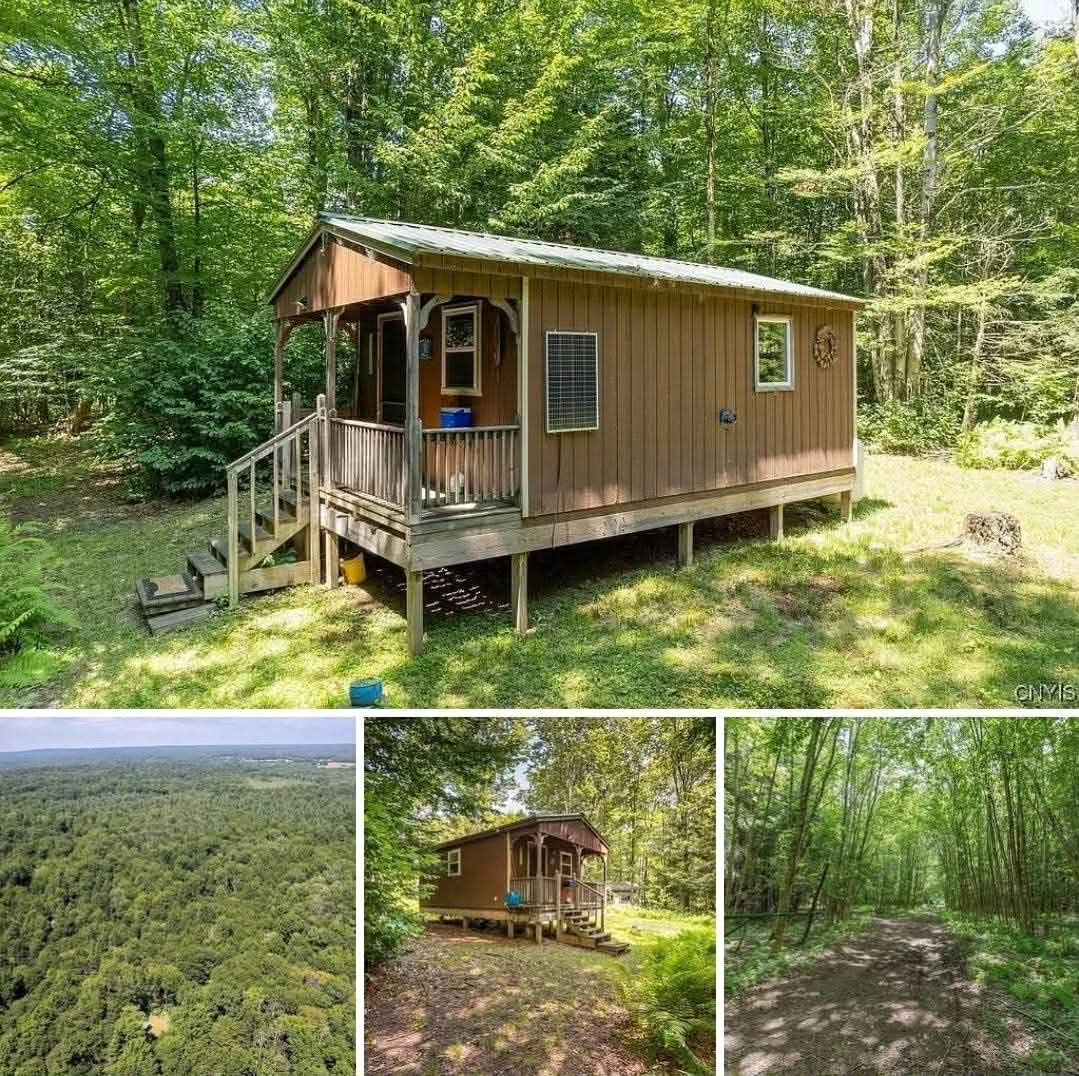 Curated visual reference: Gallery Detail: Rustic Off Grid Cabin Surrounded By Peaceful Pines
