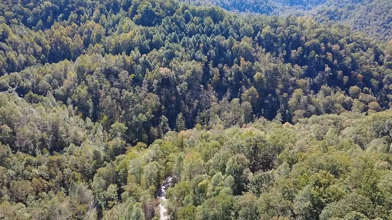 Expansive 227-Acre Land Opportunity in Harts, West Virginia
