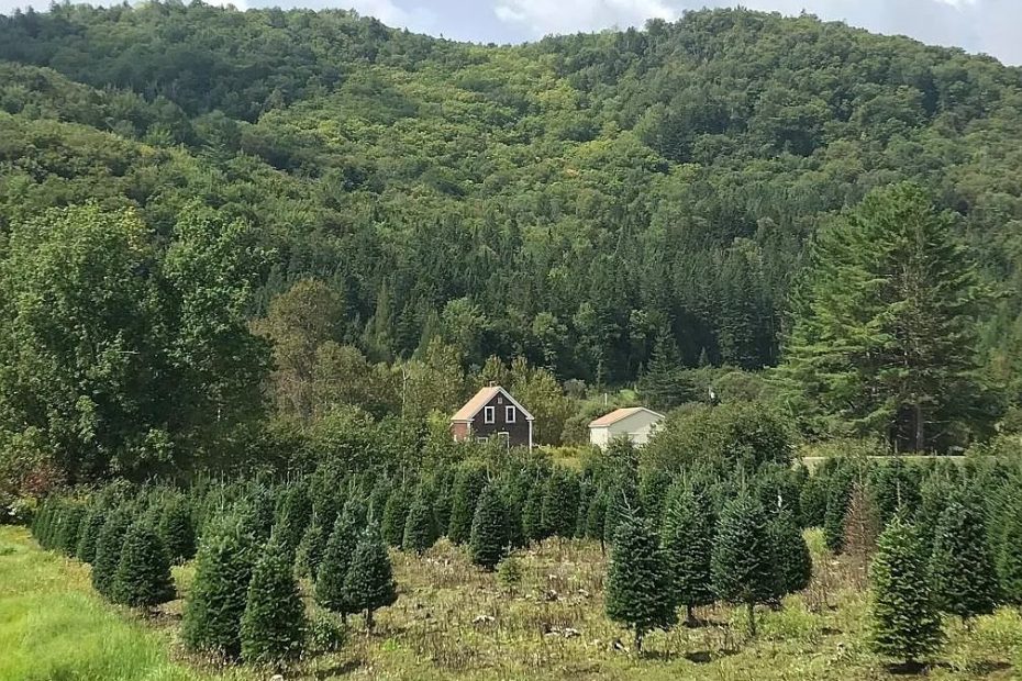 Expansive 245-Acre North Country Escape in Stewartstown, NH