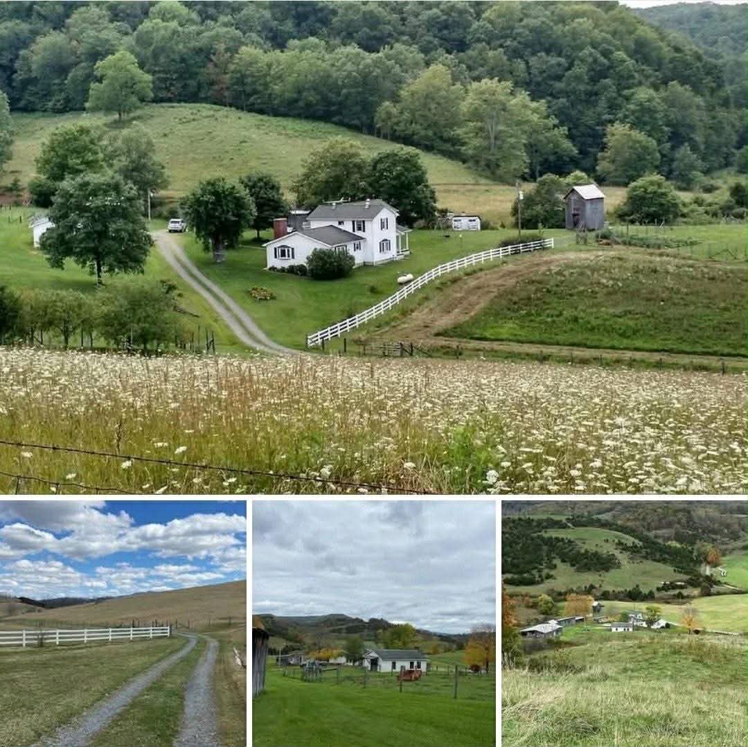 Peaceful Homestead Dreams