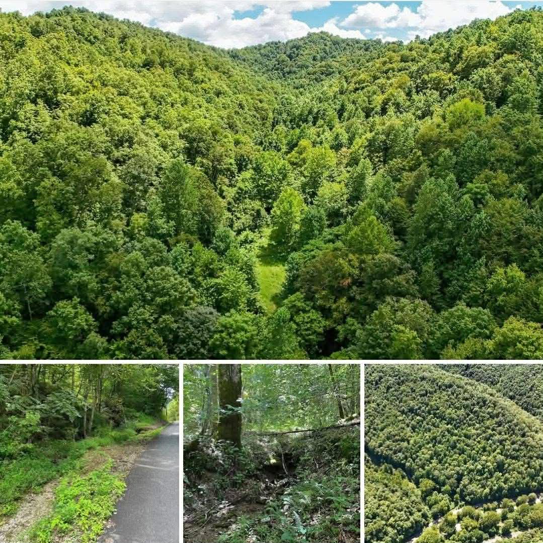 A Secluded 100± Acre Natural Haven in Girdler, Kentucky