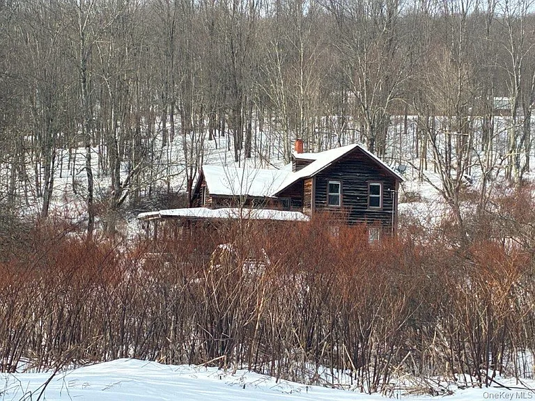 Charming Fixer-Upper Retreat in Long Eddy, New York with Scenic Surroundings